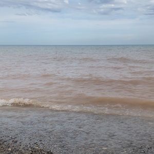 Meet your Posher, Shelby